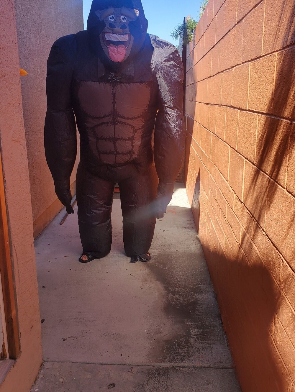 Gorilla Inflatable Costume - Picture 4 of 4